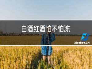 白酒红酒怕不怕冻