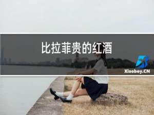 比拉菲贵的红酒