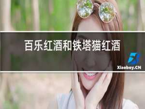 百乐红酒和铁塔猫红酒