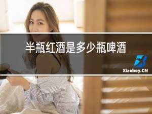 半瓶红酒是多少瓶啤酒