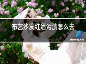 布艺沙发红酒污渍怎么去除