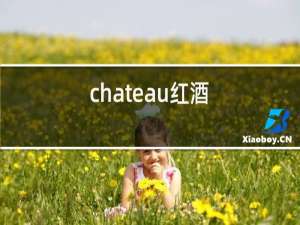 chateau红酒