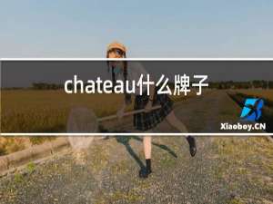 chateau什么牌子红酒2016