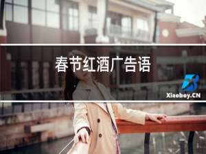 春节红酒广告语