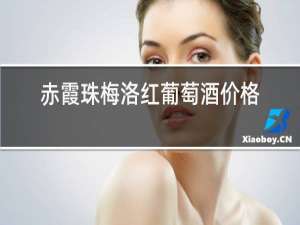 赤霞珠梅洛红葡萄酒价格