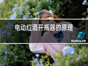 电动红酒开瓶器的原理