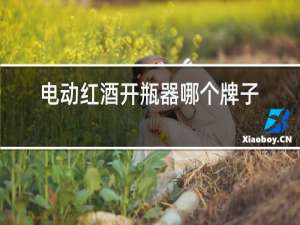 电动红酒开瓶器哪个牌子好