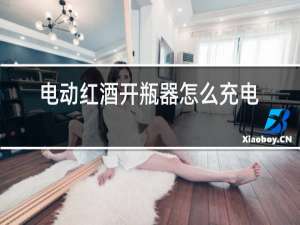 电动红酒开瓶器怎么充电视频