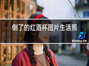 倒了的红酒杯图片生活照