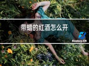 带蜡的红酒怎么开