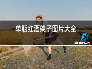 单瓶红酒架子图片大全