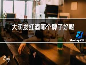 大润发红酒哪个牌子好喝