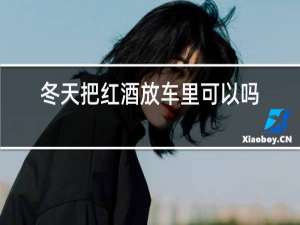 冬天把红酒放车里可以吗