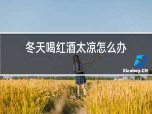 冬天喝红酒太凉怎么办
