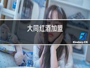 大同红酒加盟