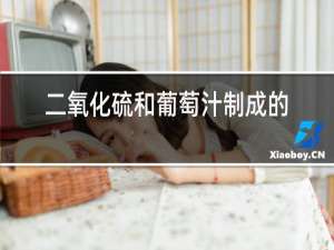 二氧化硫和葡萄汁制成的红酒