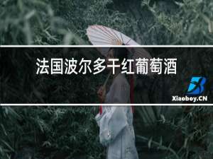 法国波尔多干红葡萄酒