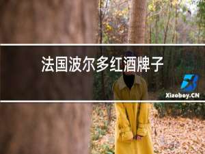 法国波尔多红酒牌子