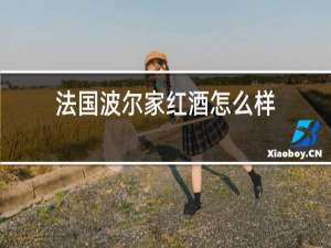 法国波尔家红酒怎么样