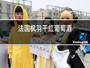 法国枫雨干红葡萄酒