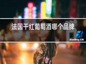 法国干红葡萄酒哪个品牌好?