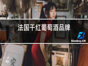 法国干红葡萄酒品牌