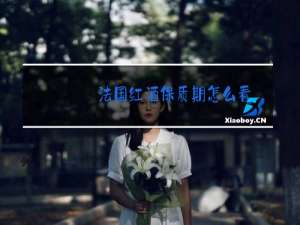法国红酒保质期怎么看
