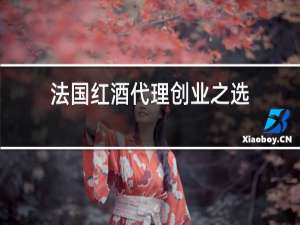 法国红酒代理创业之选