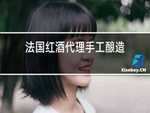 法国红酒代理手工酿造