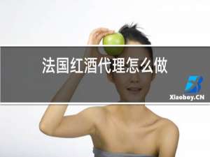 法国红酒代理怎么做