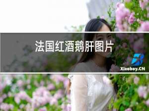 法国红酒鹅肝图片