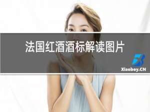 法国红酒酒标解读图片
