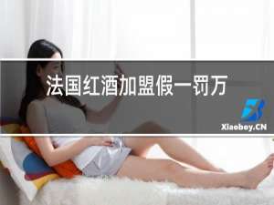 法国红酒加盟假一罚万