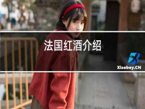 法国红酒介绍