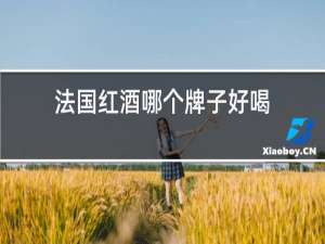 法国红酒哪个牌子好喝