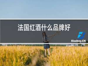 法国红酒什么品牌好