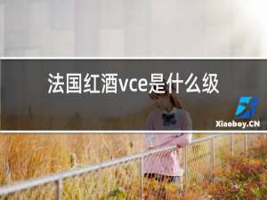 法国红酒vce是什么级别