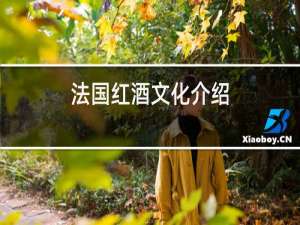 法国红酒文化介绍