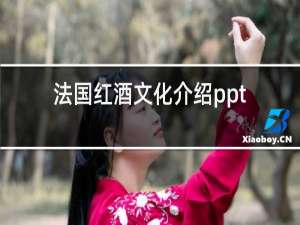 法国红酒文化介绍ppt