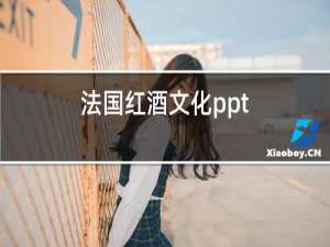 法国红酒文化ppt