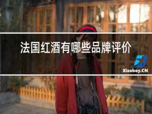 法国红酒有哪些品牌评价?