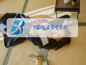 法国红酒英文背标