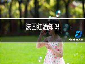 法国红酒知识