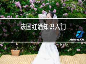 法国红酒知识入门