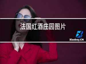 法国红酒庄园图片
