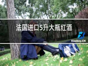 法国进口5升大瓶红酒