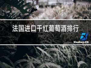 法国进口干红葡萄酒排行榜前十名