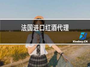 法国进口红酒代理