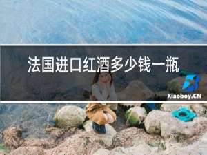 法国进口红酒多少钱一瓶