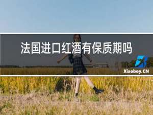 法国进口红酒有保质期吗?